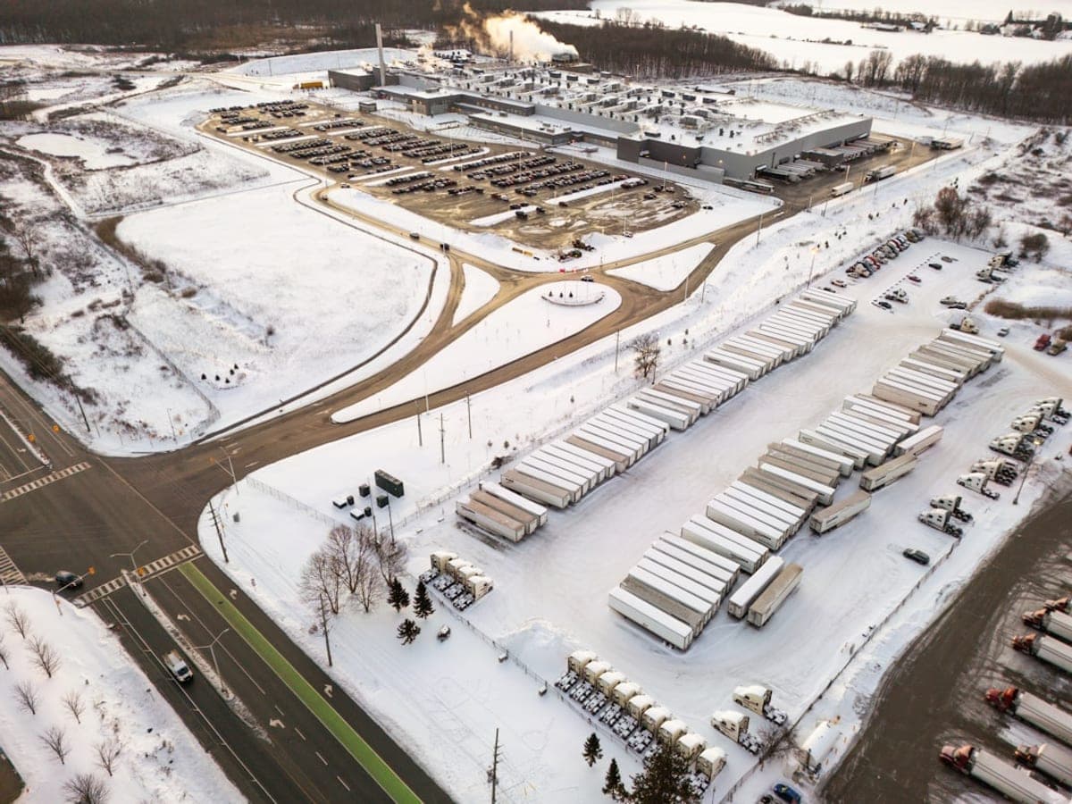 Processing and cold stores