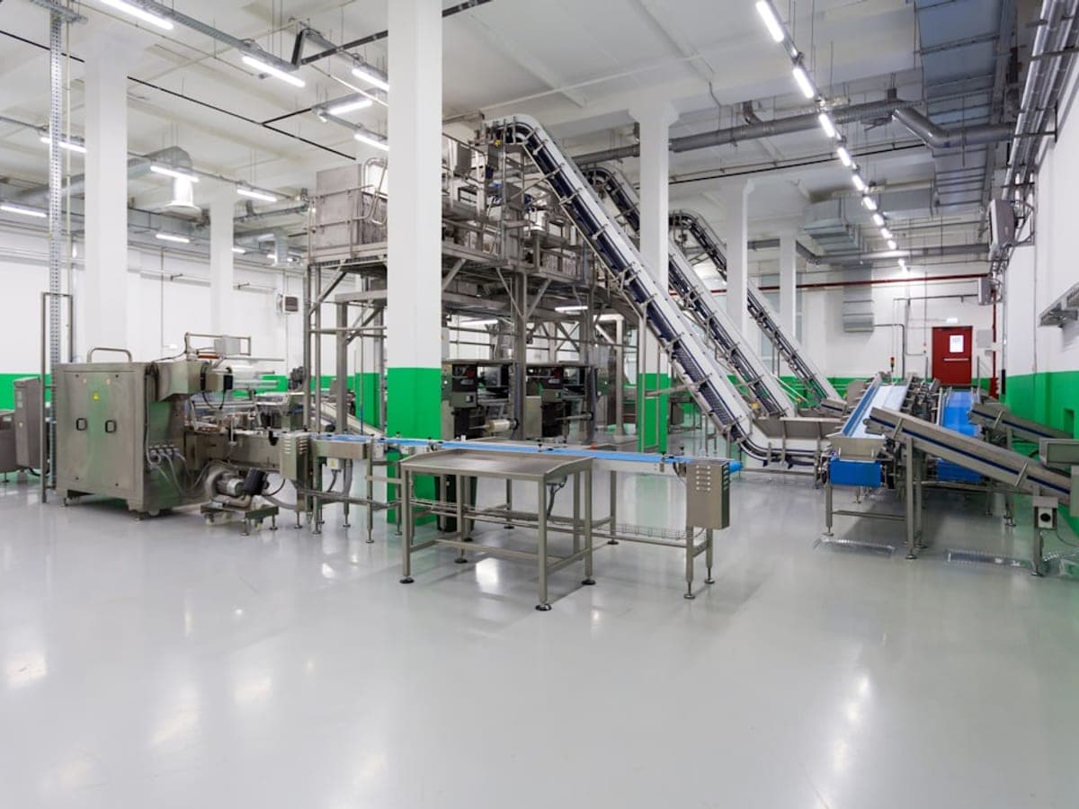IQF freezing plants