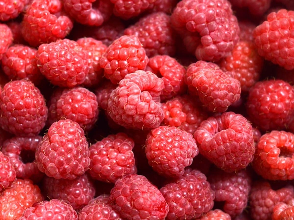 Raspberry