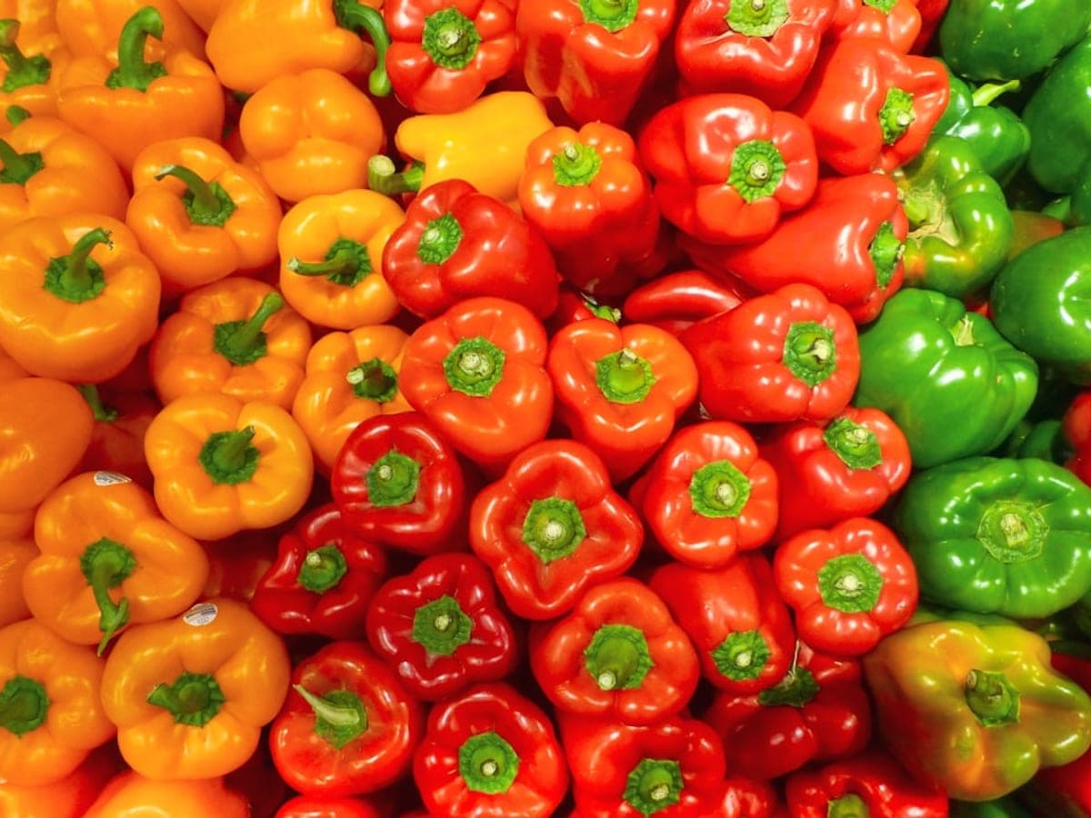 Sweet pepper